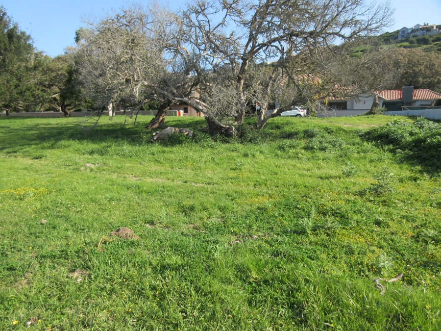 0 Bedroom Property for Sale in Riverview Water Front Estate Eastern Cape